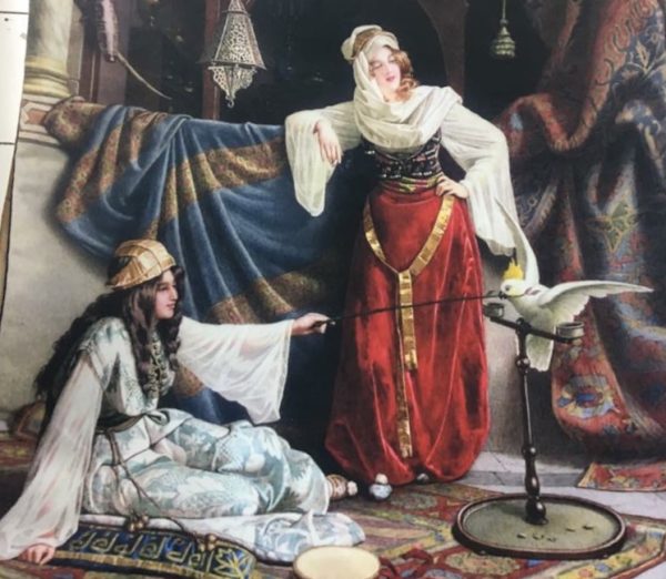 Funda cojín, harem paloma.